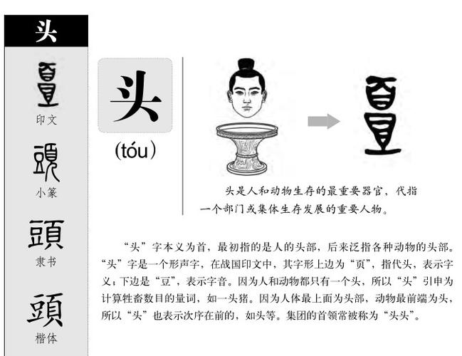 头字五行属什么图标