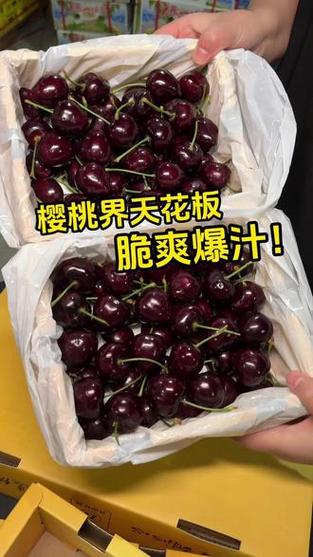 俄罗斯8号樱桃和满天星