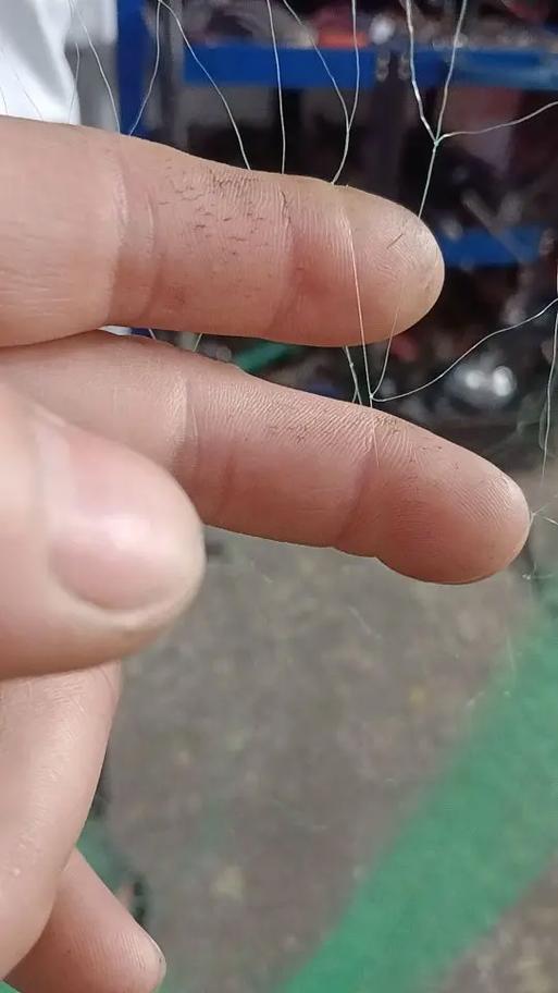 粘网怎么放网效果最好