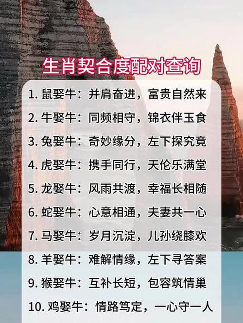 男人在家猜一生肖
