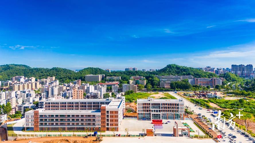 高州市阳光论坛网缩略图