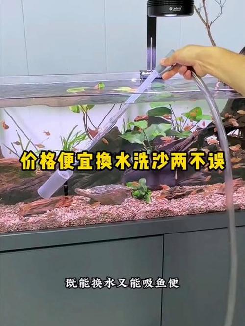 为什么鱼缸换水后鱼会死