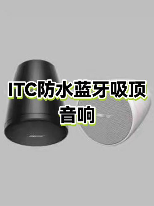蓝牙吸顶音箱有必要吗