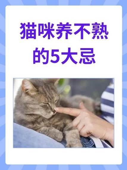 养不熟的猫还要养吗