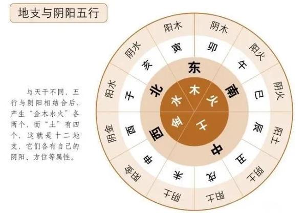 阳和阴哪个更厉害