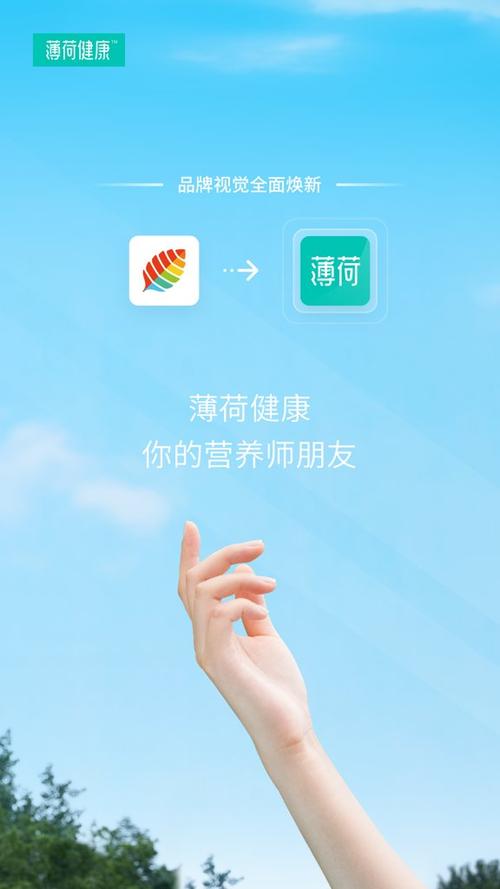 薄荷健康老版本下载