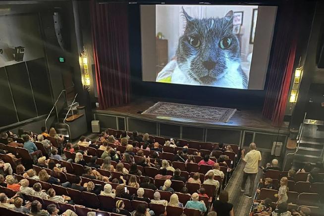 猫猫影院图标