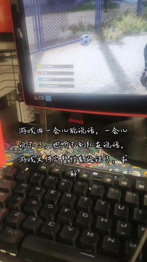 绝地求生语音说不了话怎么回事图标