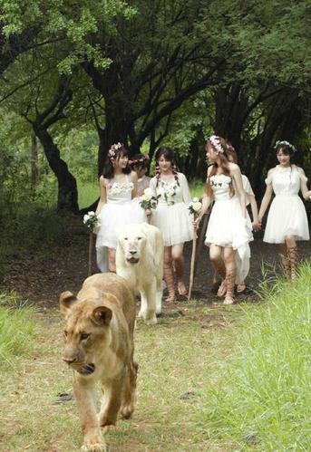 snh48成员比基尼