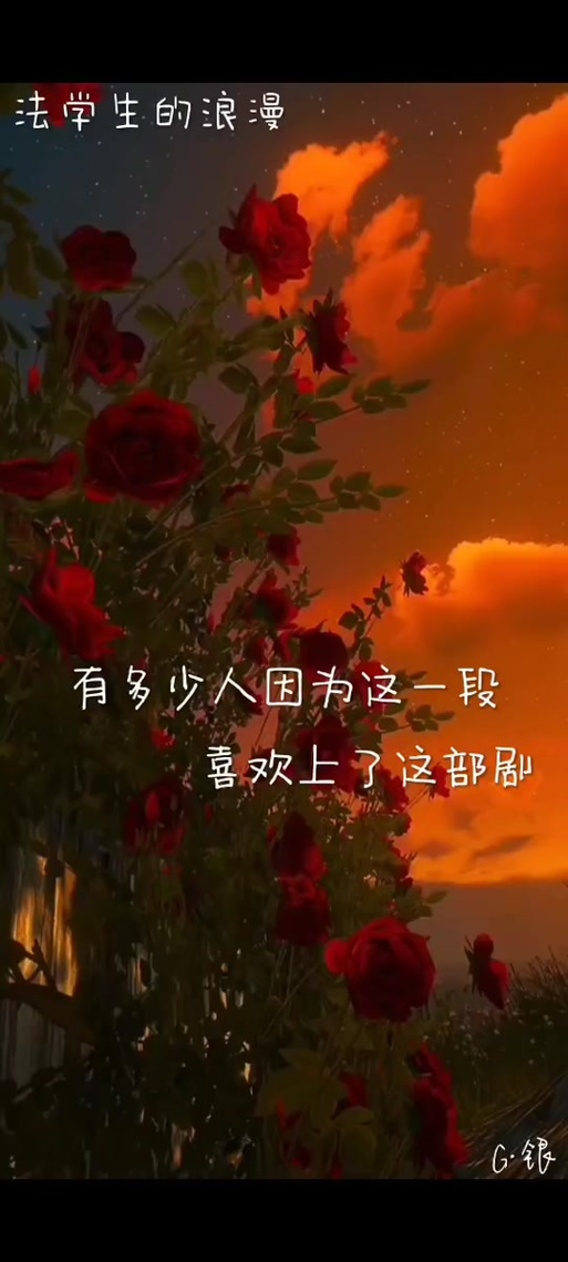 偶然相遇必然相爱笔趣阁