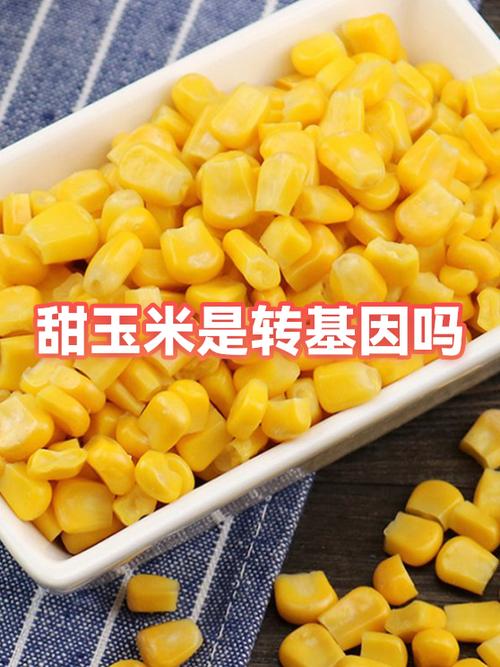 大喜田玉米是不是转