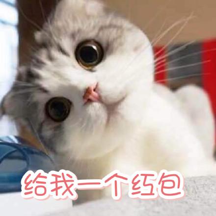 萌猫短视频红包