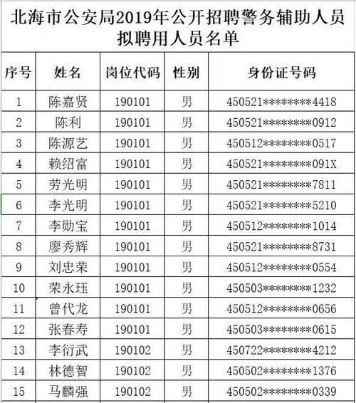 游戏里的辅助玩家叫啥