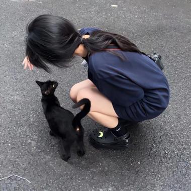 女头可爱抱小猫