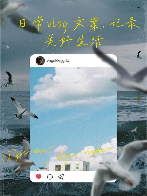记录生活的vlog博主