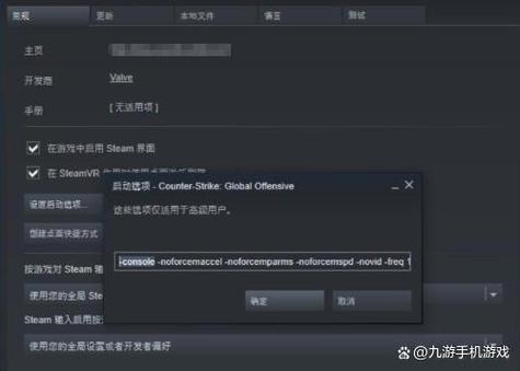 csgo控制台按不出来