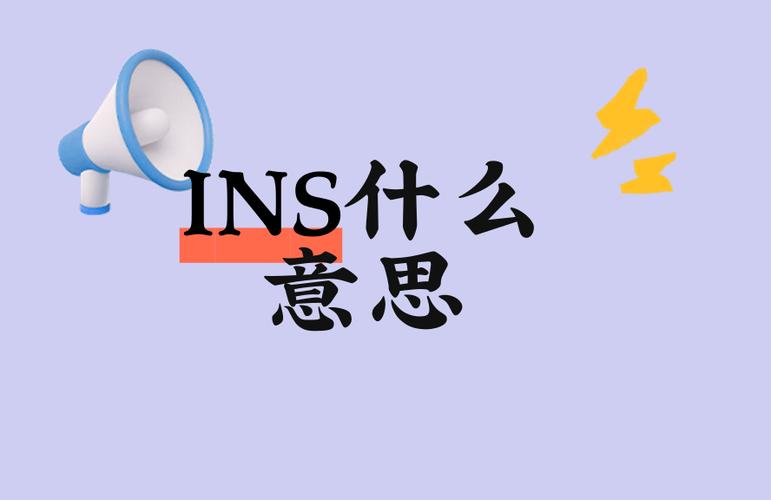 体检ins是什么意思