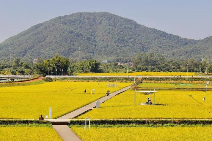 从化艾米农场旅游攻略截图