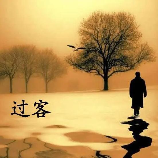 过客而已图片图标