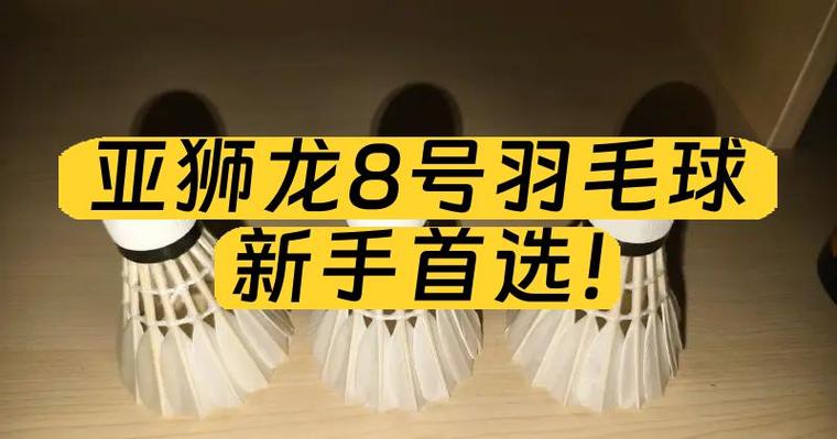 新手打羽毛球选多少钱截图