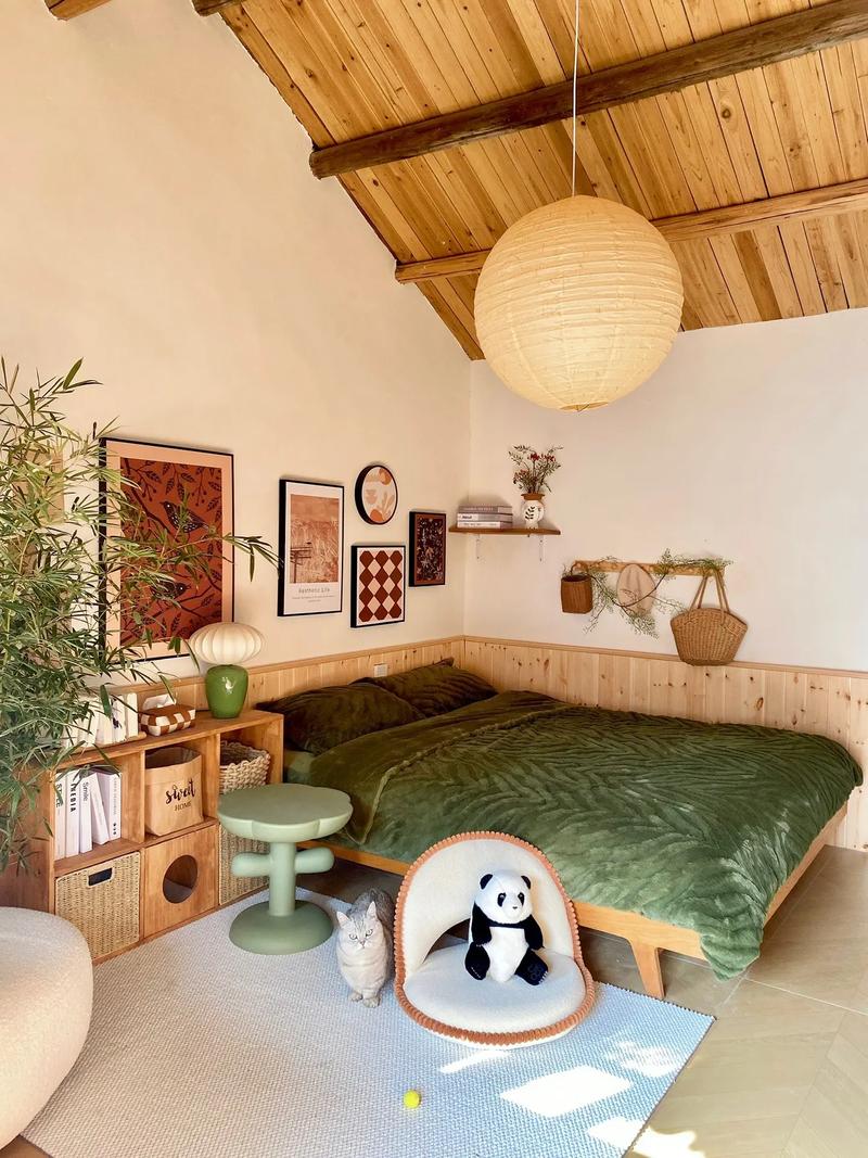 60天爆改小屋后续