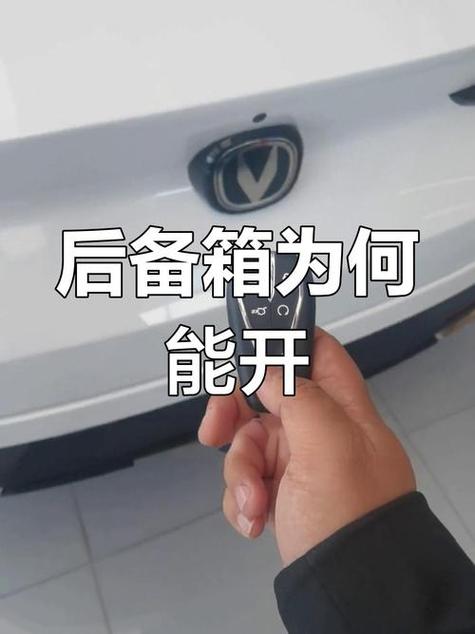 车门已锁,后备箱可以打开