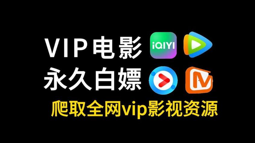 全网VIP免费观看网站