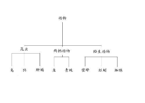 树状图怎么画