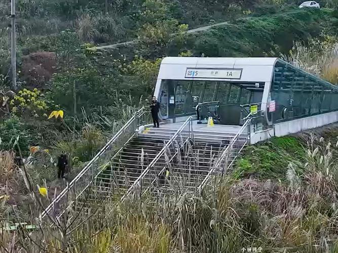 地铁跑酷x荒野乱斗截图