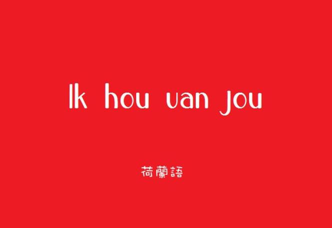 中文翻译荷兰语