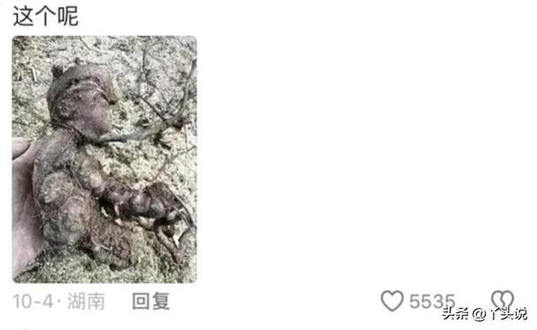 动物不许成精的原因