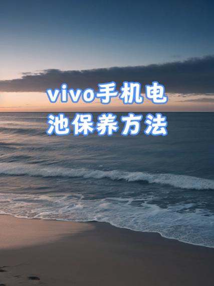 vivo手机电池使用注意事项图标