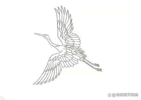 好看视频去广告去升级精简版缩略图