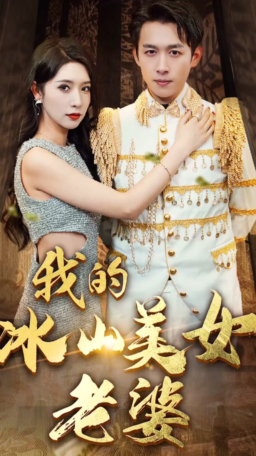 我的冰山美女老婆txt精校版
