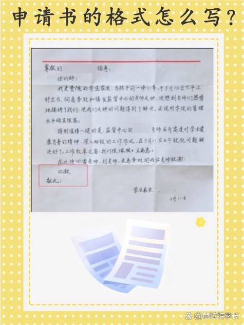 申请书的正确范文游戏截图