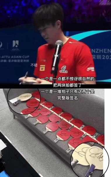 反应快是什么动物缩略图