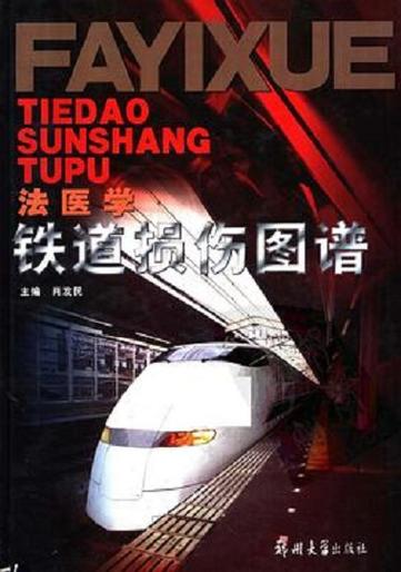 铁道损伤图谱电子版pdf截图