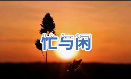 闲人怎么知道,忙人多想闲人截图