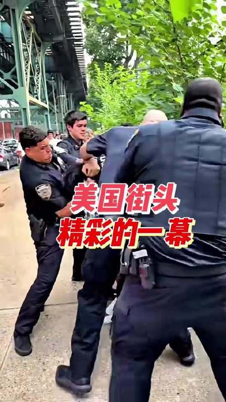 美国警察追逐执法视频截图