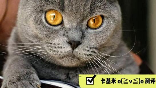卡基米是什么意思