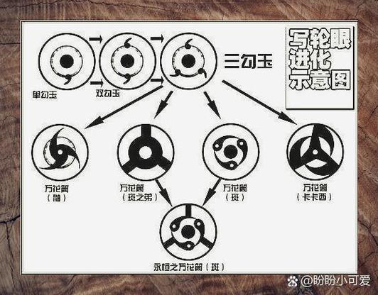 轮回眼是写轮眼进化吗