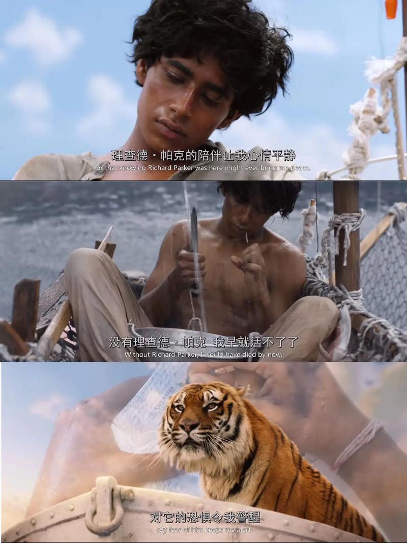 少年派的奇幻漂流的导演