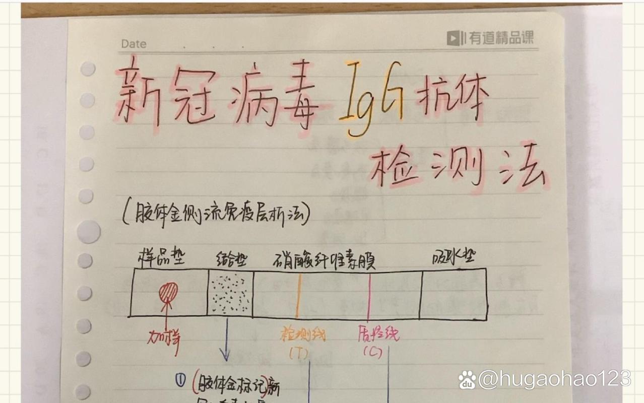 igg修改透视教程