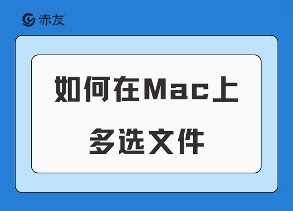 苹果怎么全选网页