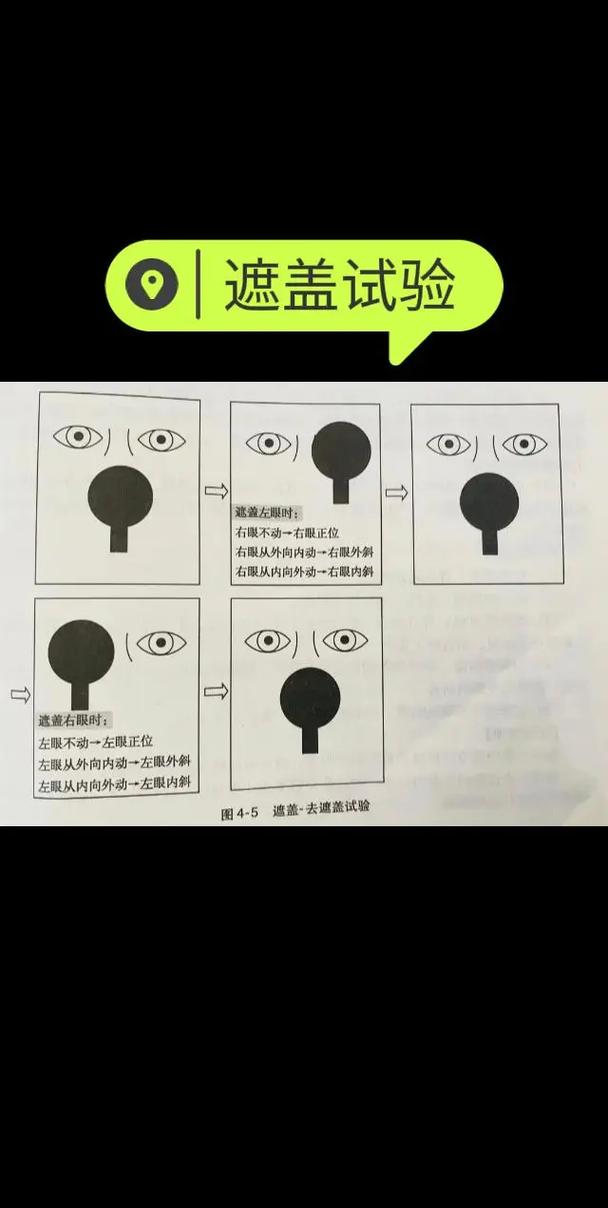 表格中文字被遮盖一半