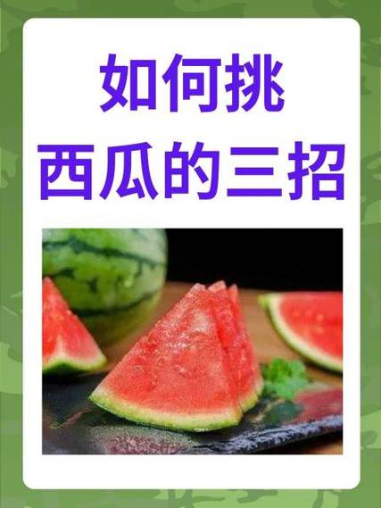 西瓜作文二年级图标