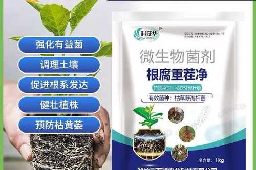 抗重茬菌肥10大品牌