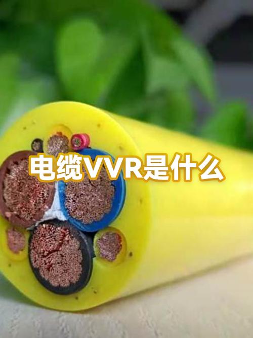 NV代表什么