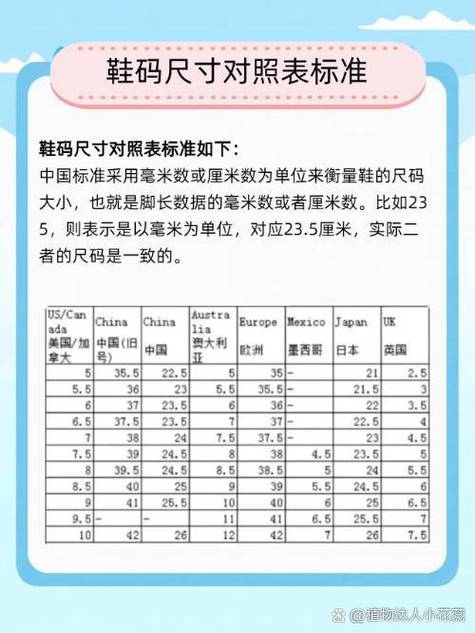 sw鞋码与中国鞋码换算