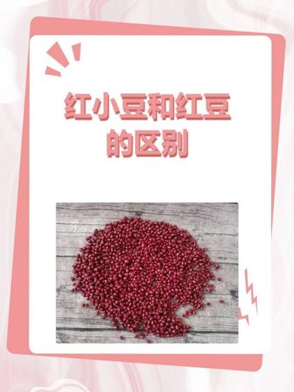 红小豆和红豆是一个东西吗截图